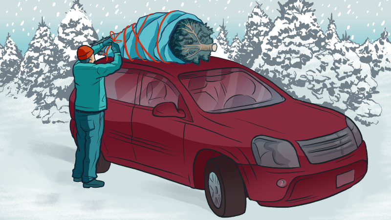 Illustration for article titled A Complete Guide to Finding and Chopping Down Your Own Tree
